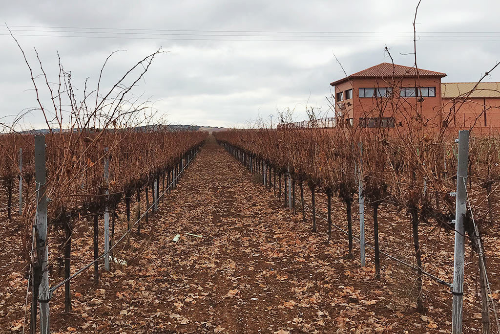 Valtravieso "Vino de Finca" 2021